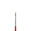Picture of JUNIOR PAINTBRUSH ROUND